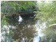 Wingham NSW 2429