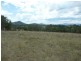 Wingham NSW 2429