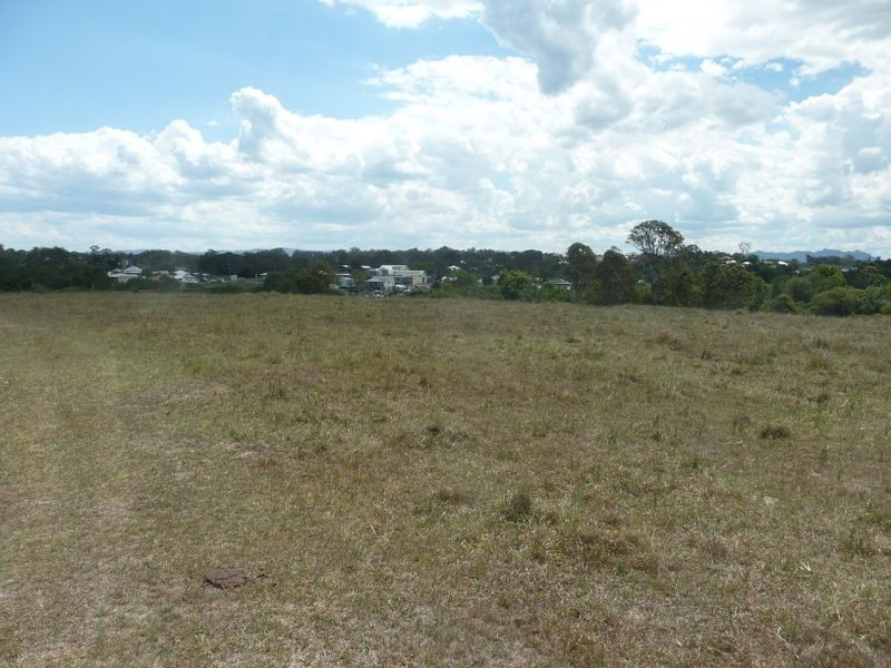 Wingham NSW 2429