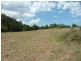 Wingham NSW 2429