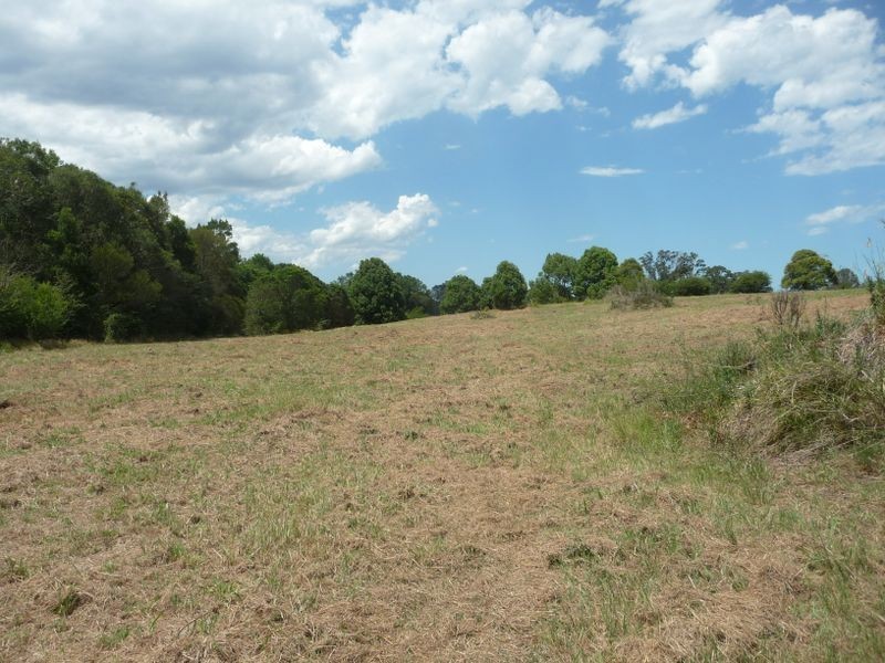 Wingham NSW 2429