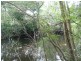 Wingham NSW 2429