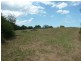 Wingham NSW 2429