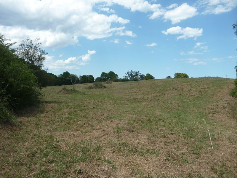 Wingham NSW 2429