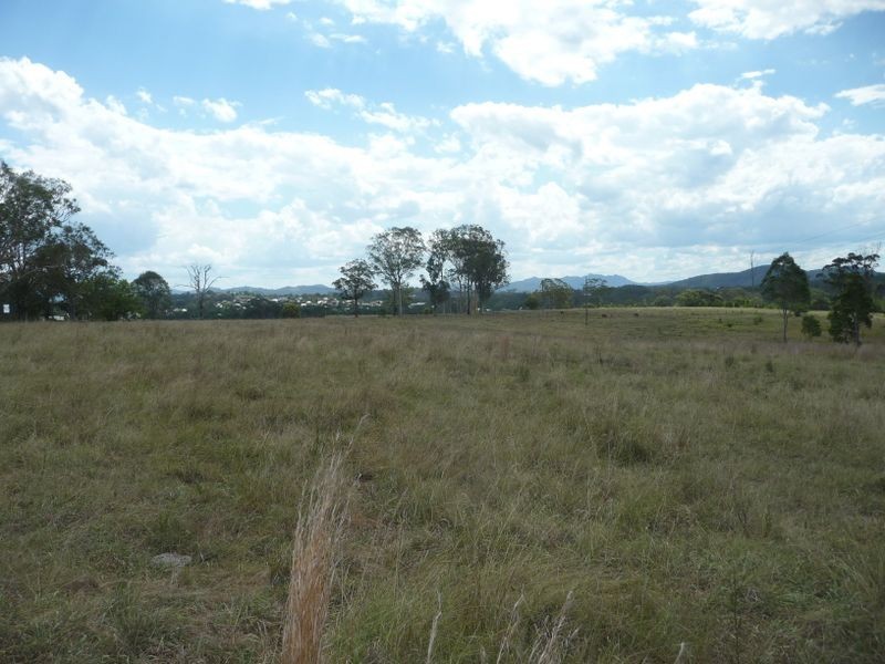 Wingham NSW 2429