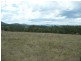 Wingham NSW 2429