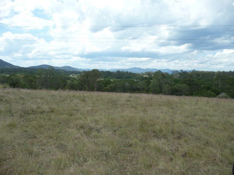Wingham NSW 2429