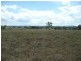 Wingham NSW 2429