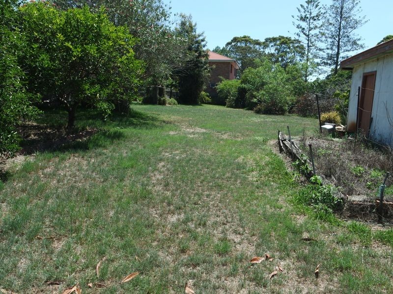 34 Rouse Street, Wingham NSW 2429