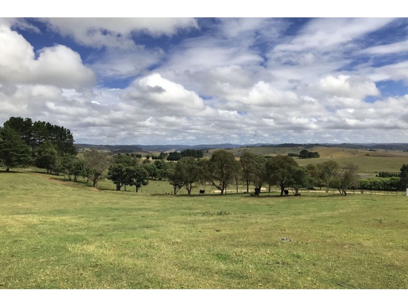 7651 Thunderbolts Way, Nowendoc NSW 2354