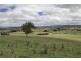 7651 Thunderbolts Way, Nowendoc NSW 2354