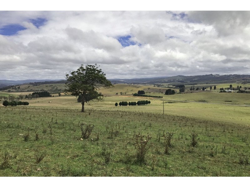 7651 Thunderbolts Way, Nowendoc NSW 2354