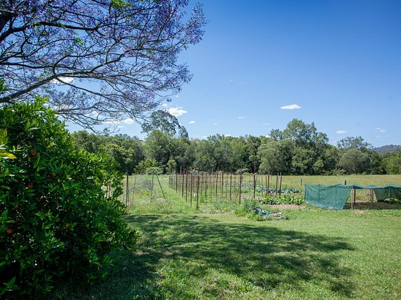 15 West Appletree Street, Wingham NSW 2429