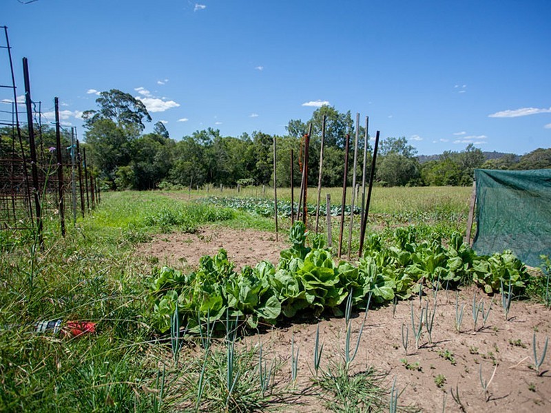 15 West Appletree Street, Wingham NSW 2429