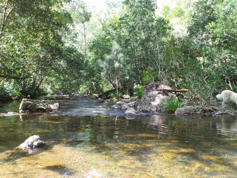 Wherrol Flat NSW 2429