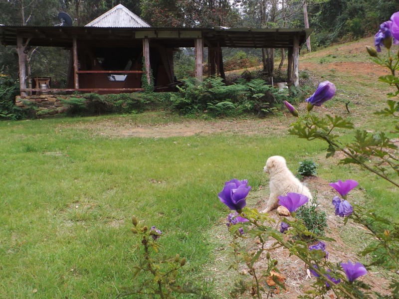 Wherrol Flat NSW 2429