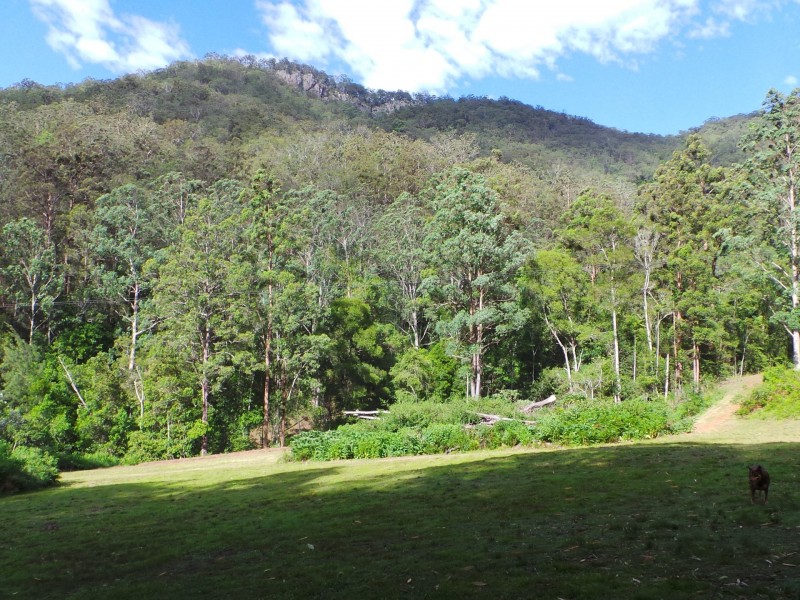 Wherrol Flat NSW 2429