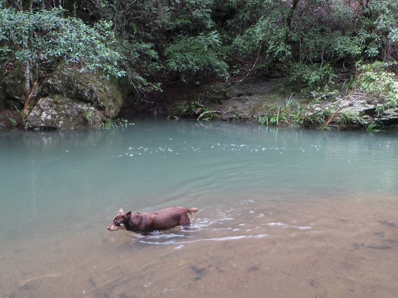 Wherrol Flat NSW 2429