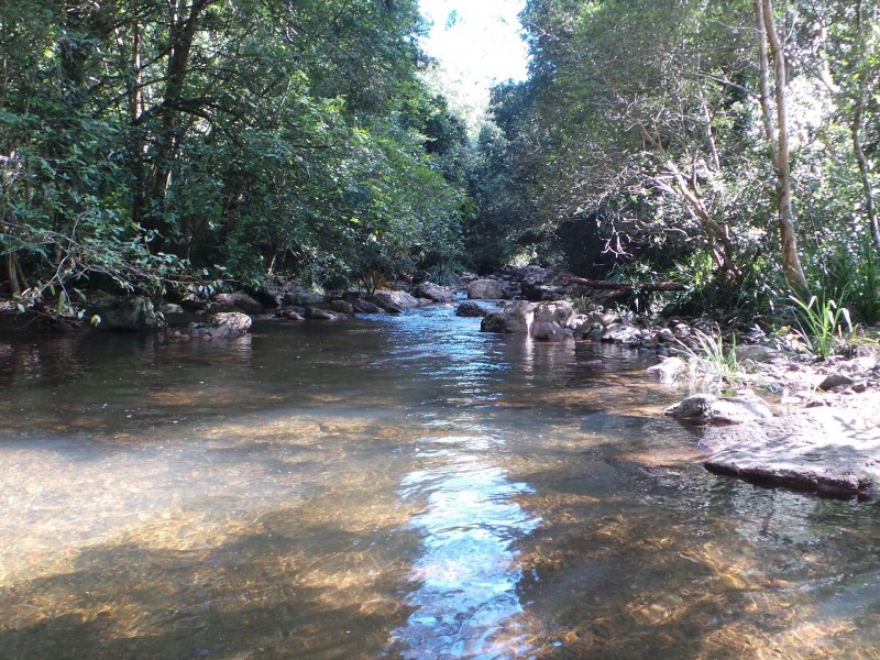 Wherrol Flat NSW 2429