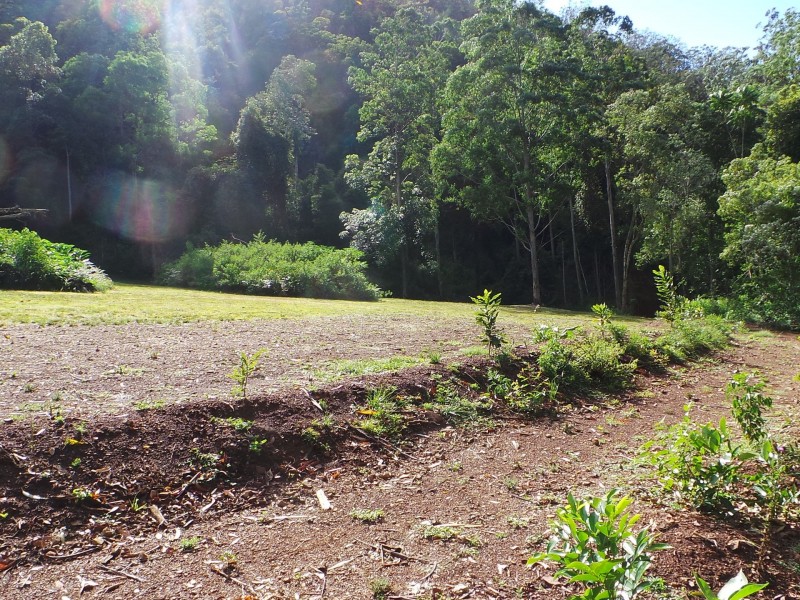 Wherrol Flat NSW 2429