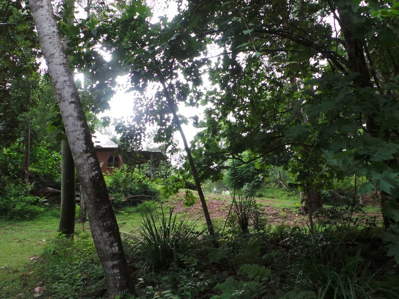 Wherrol Flat NSW 2429