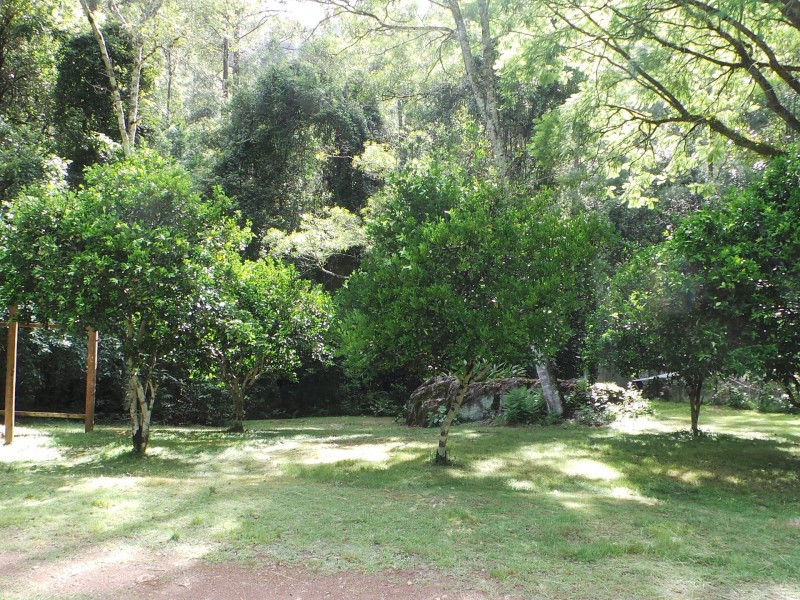 Wherrol Flat NSW 2429