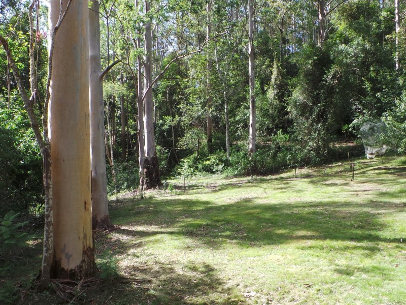 Wherrol Flat NSW 2429