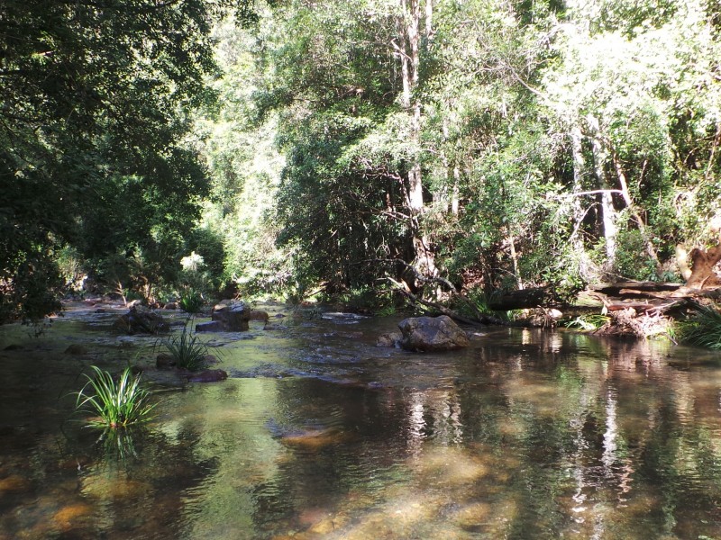 Wherrol Flat NSW 2429