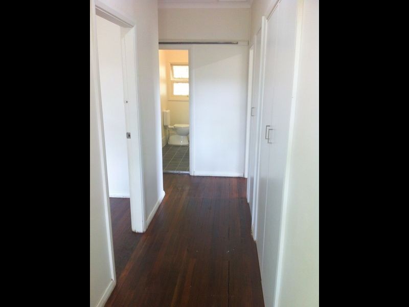 Wingham NSW 2429