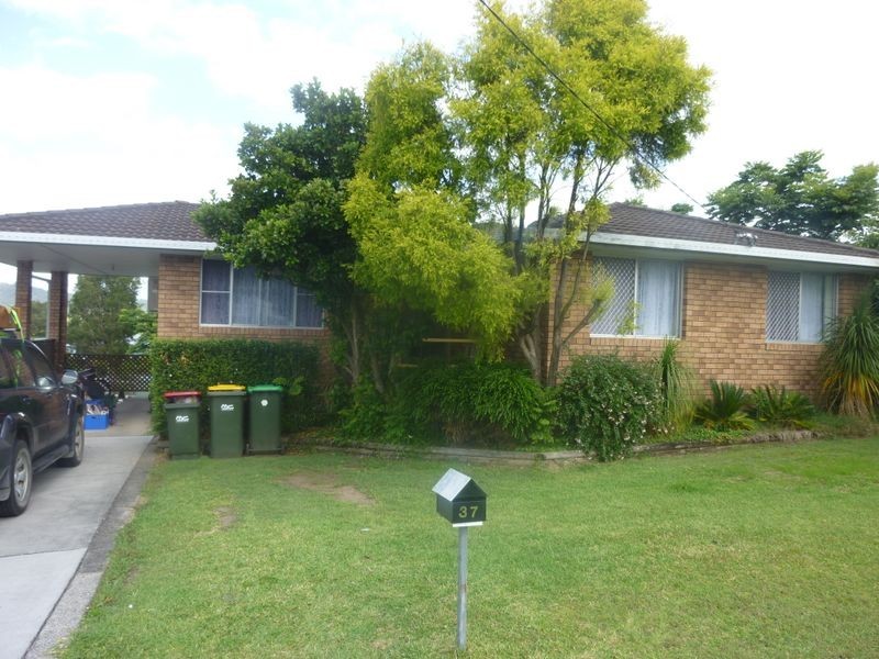 37 Killawarra Street, Wingham NSW 2429