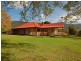 1185 Nowendoc Road, Wingham NSW 2429