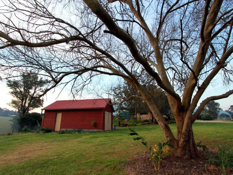 1185 Nowendoc Road, Wingham NSW 2429