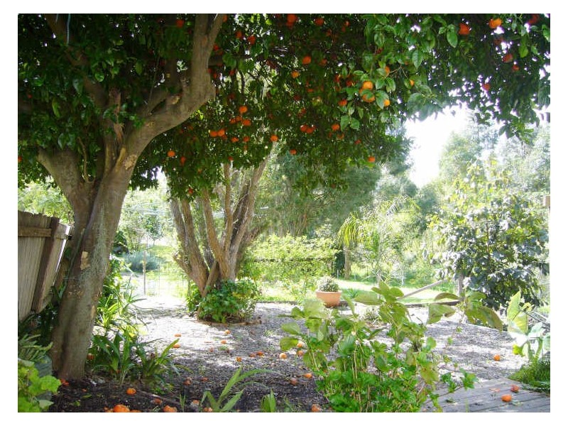25 Combined Street, Wingham NSW 2429