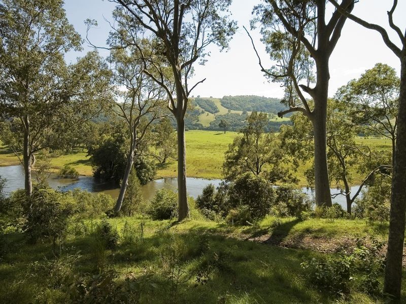 Kimbriki NSW 2429