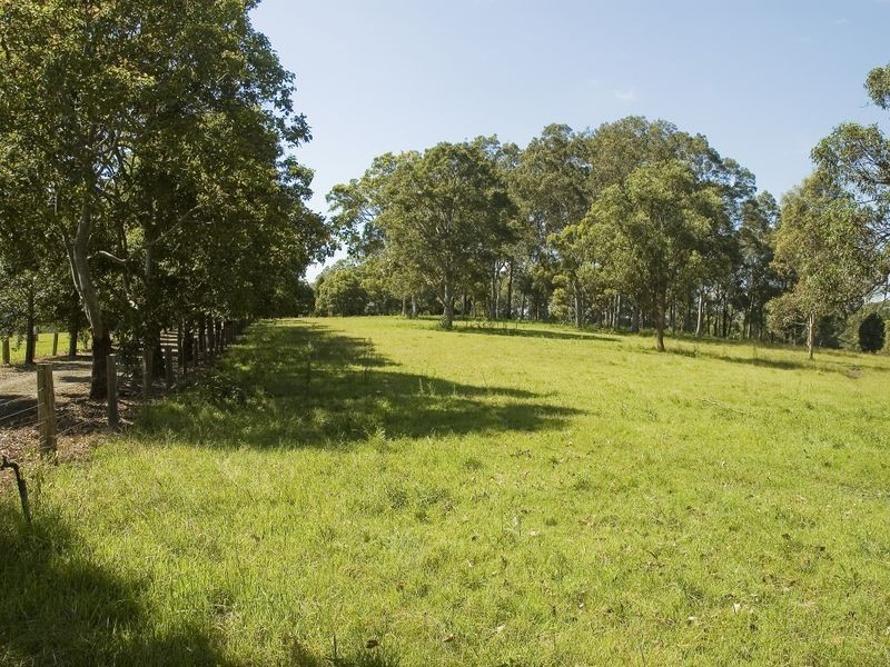 Kimbriki NSW 2429