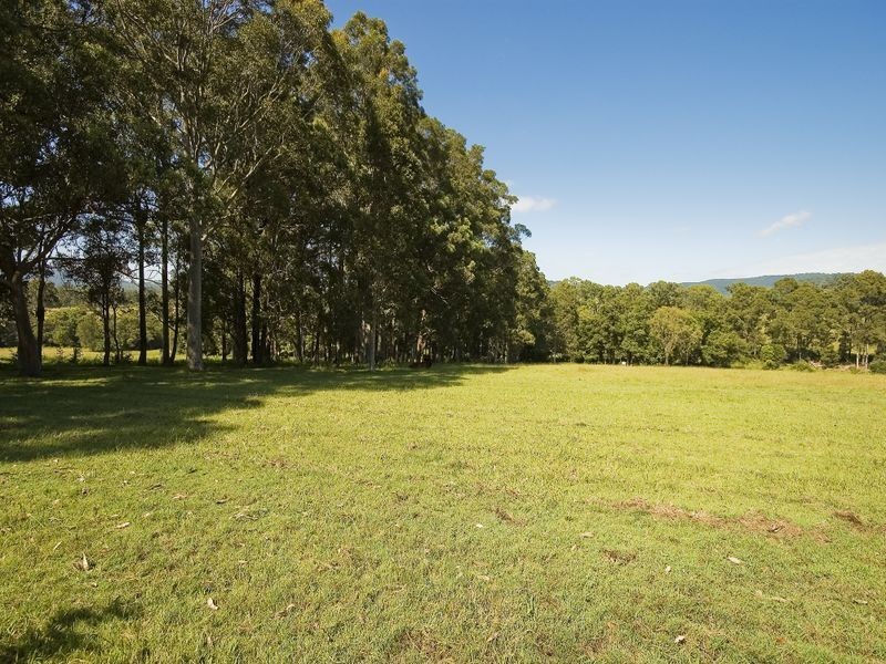 Kimbriki NSW 2429