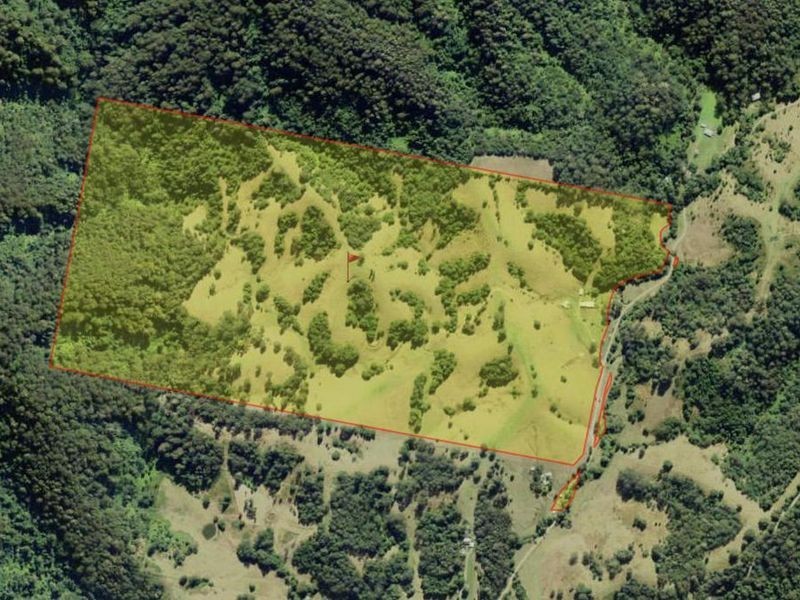 137A Killabakh Creek Road, Killabakh NSW 2429