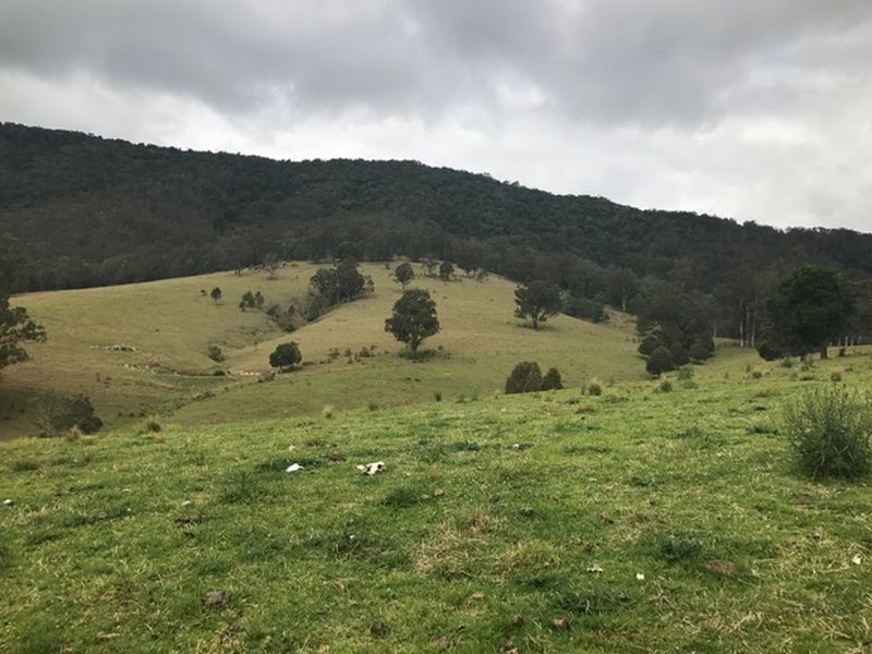 423 Paddock Creek Road, Caffreys Flat NSW 2424