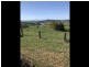 78 Jonella Road, Mondrook NSW 2430