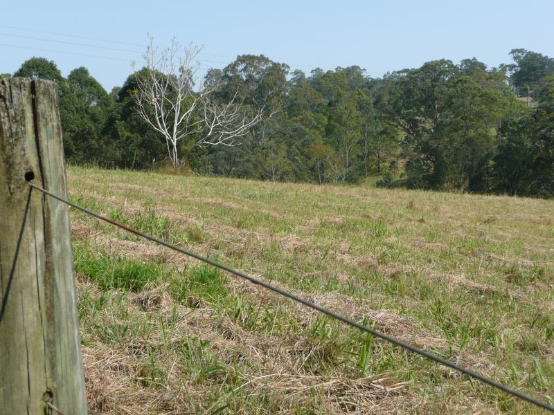 11 Abbotts Falls Road, Wingham NSW 2429