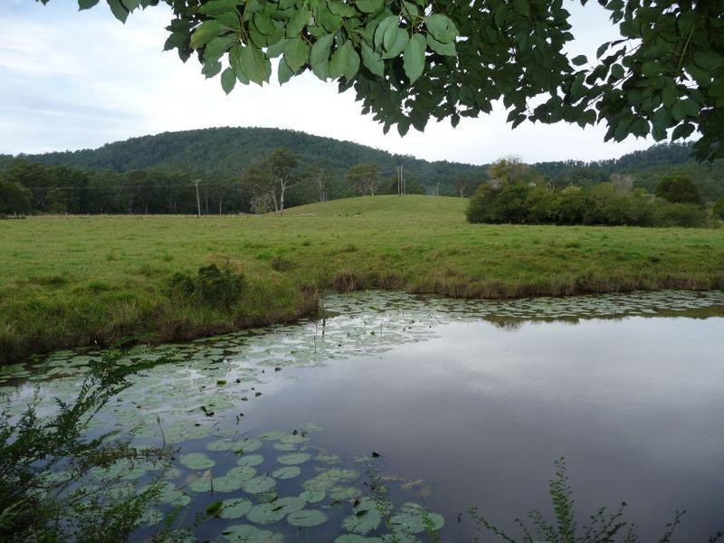 Hannam Vale NSW 2443