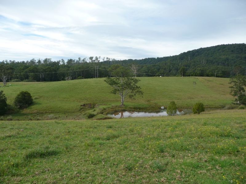 Hannam Vale NSW 2443
