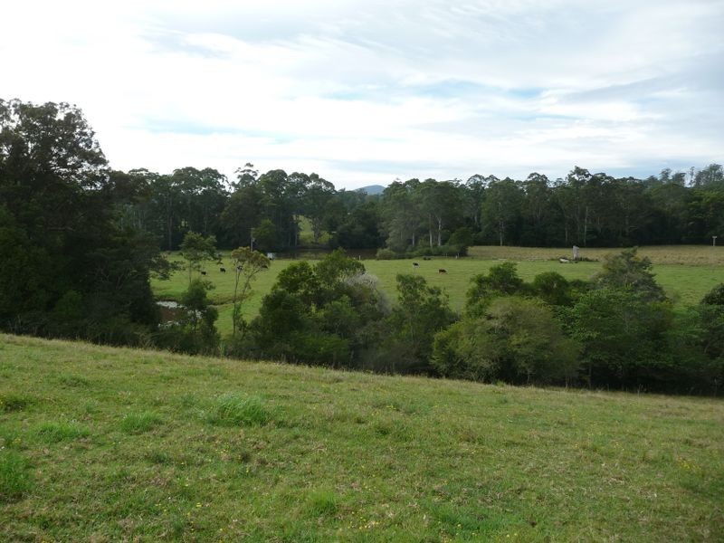 Hannam Vale NSW 2443