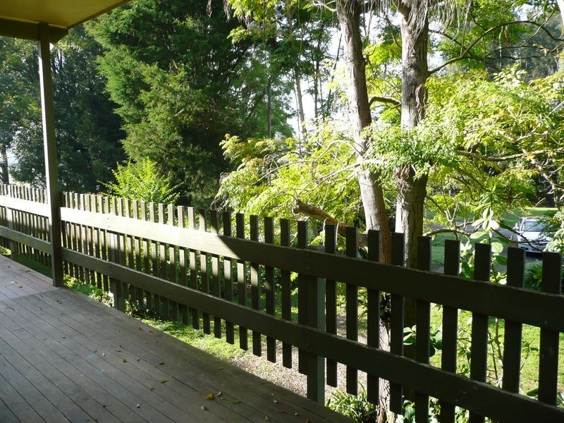 23 East Combined Street, Wingham NSW 2429