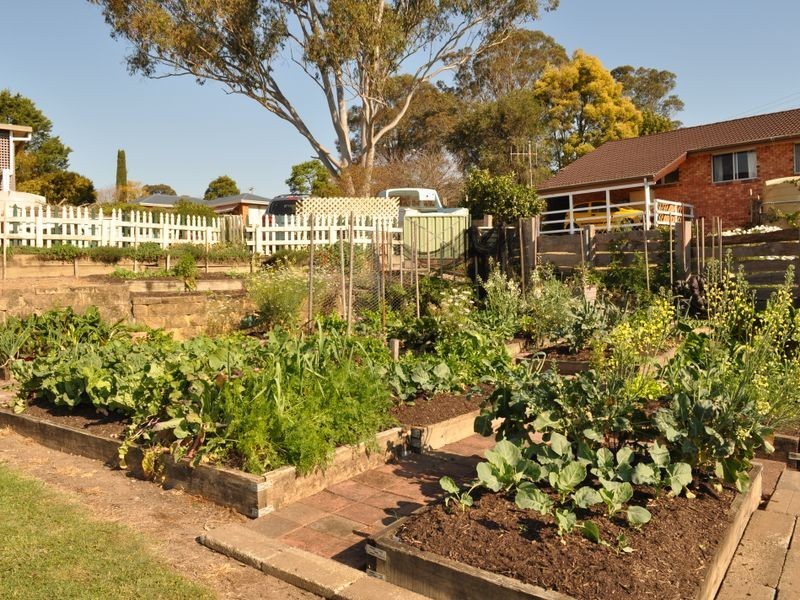 10 Warrawillah Avenue, Wingham NSW 2429