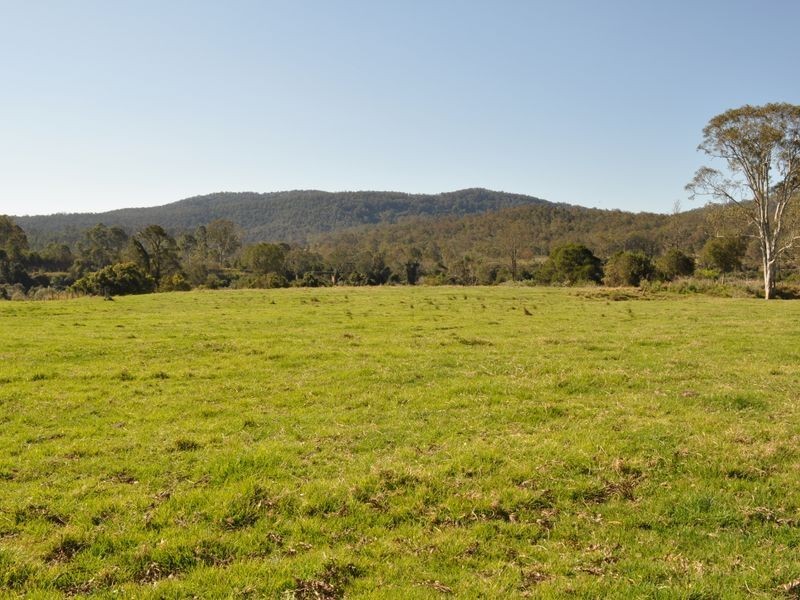 Kimbriki NSW 2429