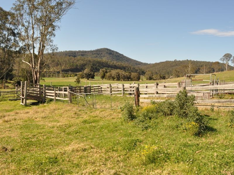 Kimbriki NSW 2429
