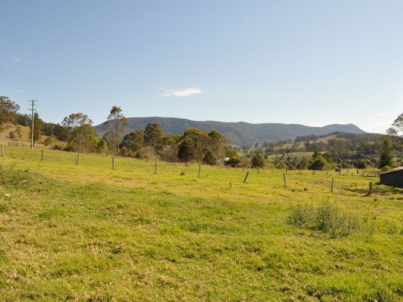 Kimbriki NSW 2429