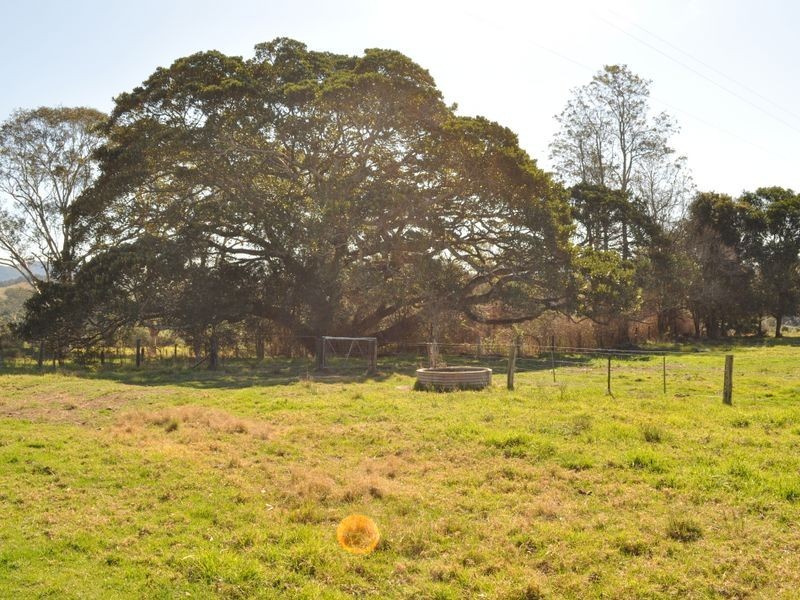 Kimbriki NSW 2429