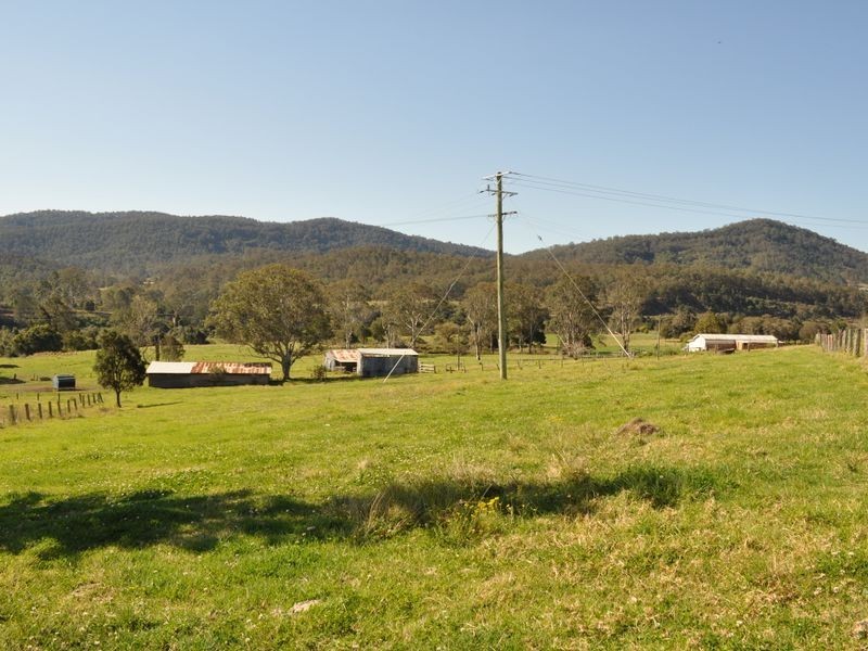 Kimbriki NSW 2429